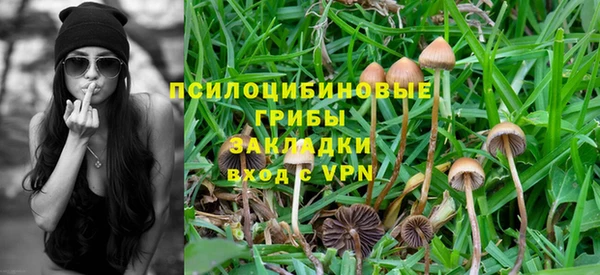 индика Остров