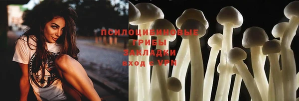 индика Остров