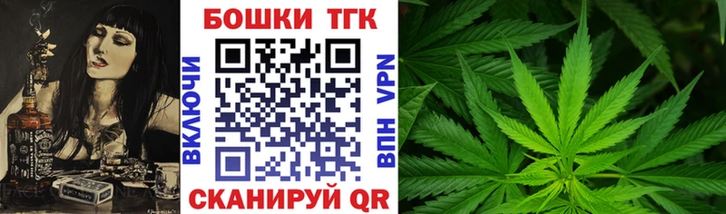 Канабис планчик  Сосенский 